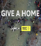 1709 giveahome.gif