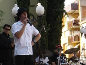 Pentina el gat